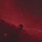 Dennis_Wilde_Horsehead_Nebula Dennis Wilde Horsehead Nebula