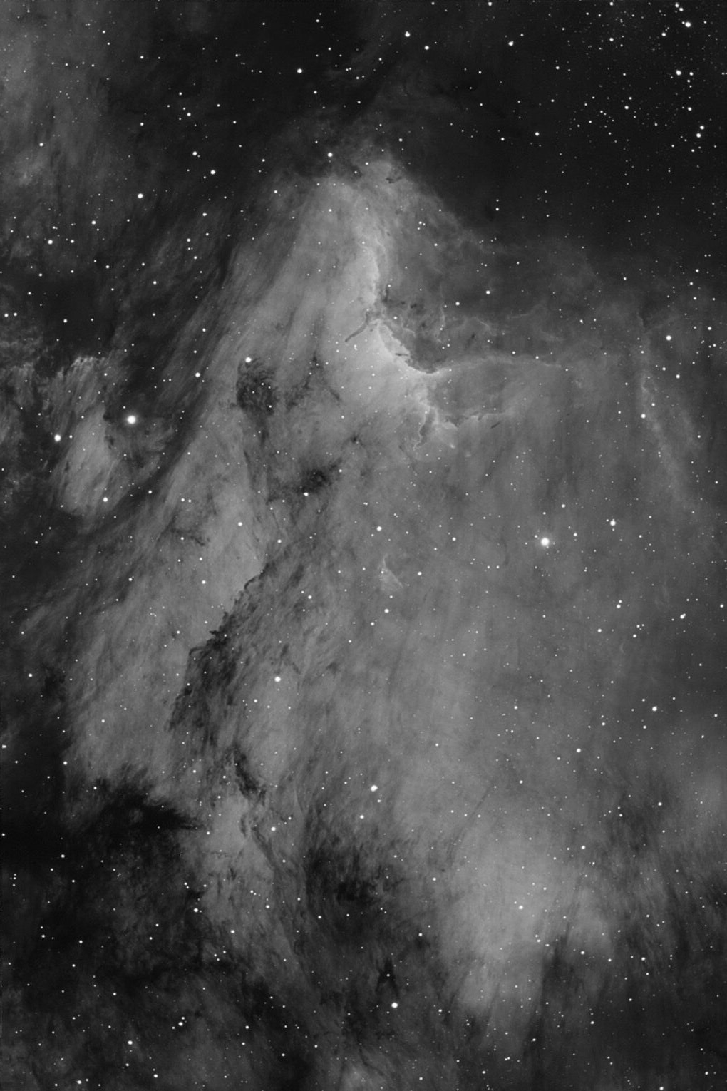 Ken Westall Pelican Nebula