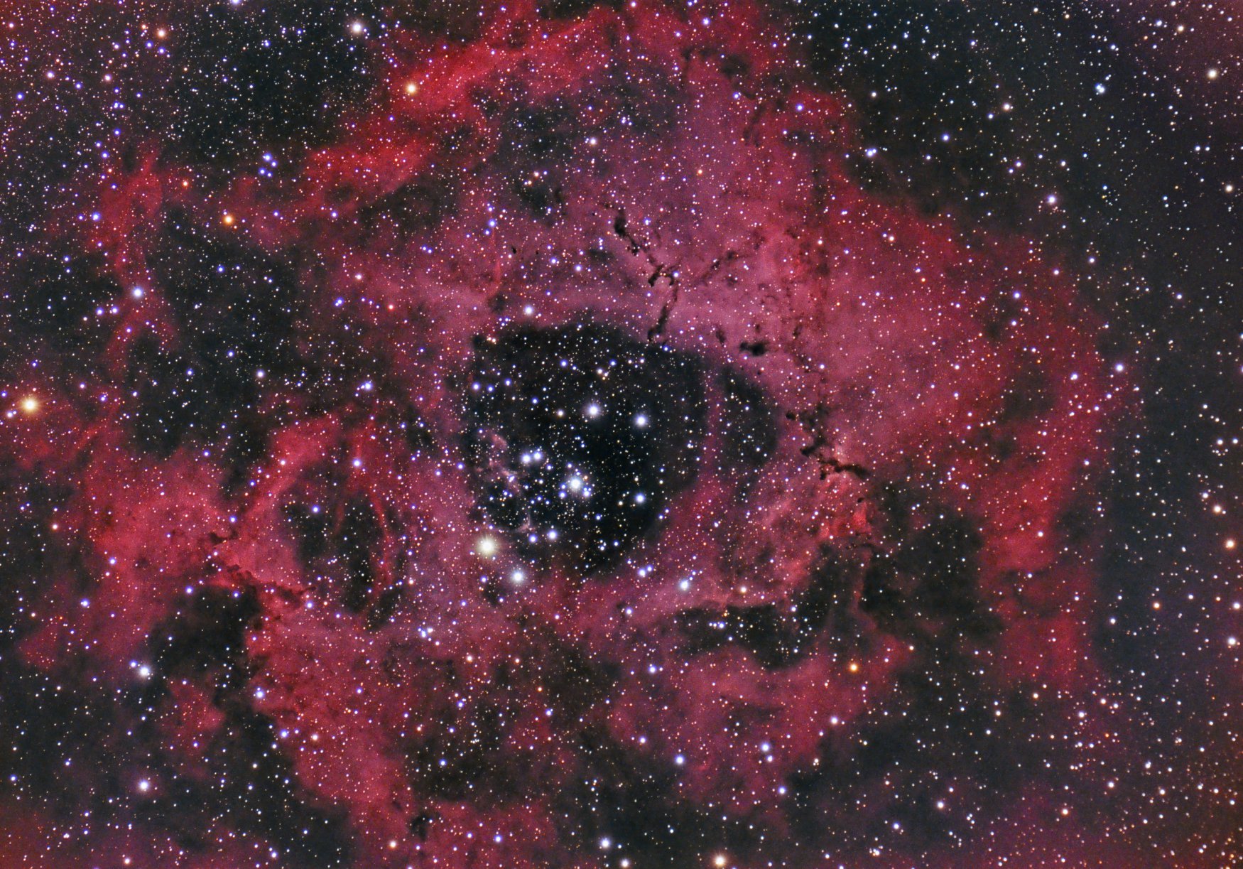 Randy Flynn Rosette Nebula