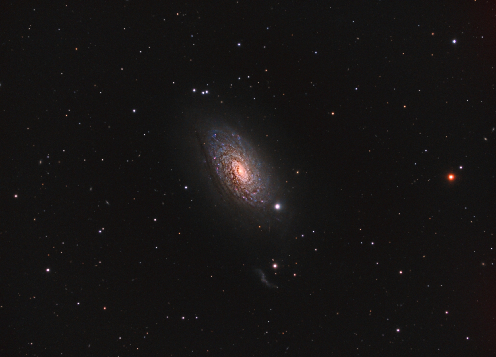 M63 Spiral galaxy