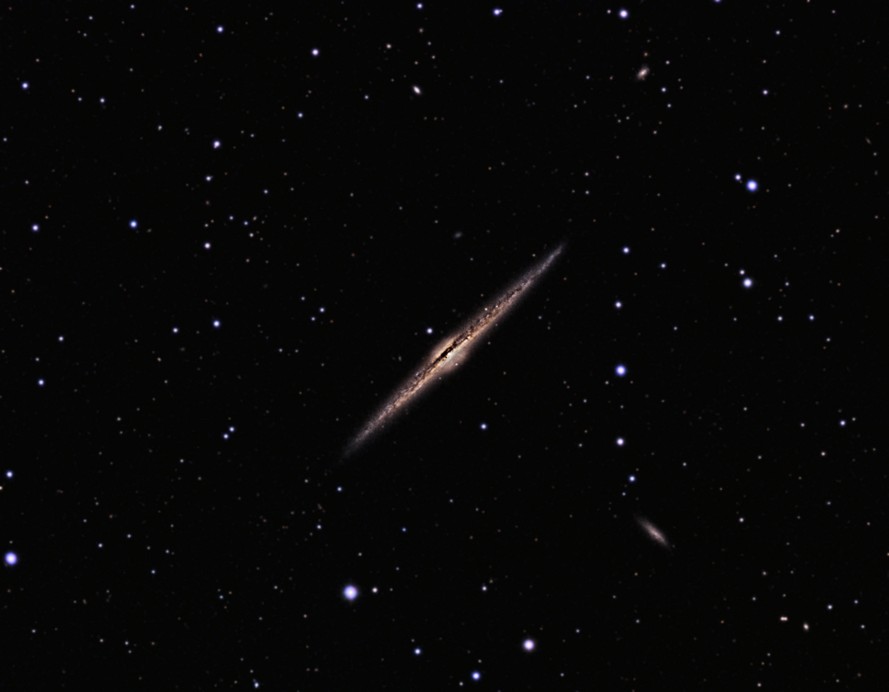 Dennis Wilde NGC 4565 Needle Galaxy