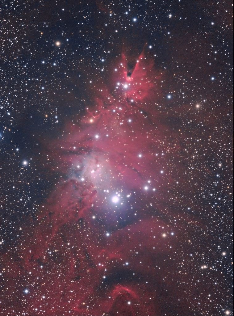Knox Worde Christmas Tree nebula