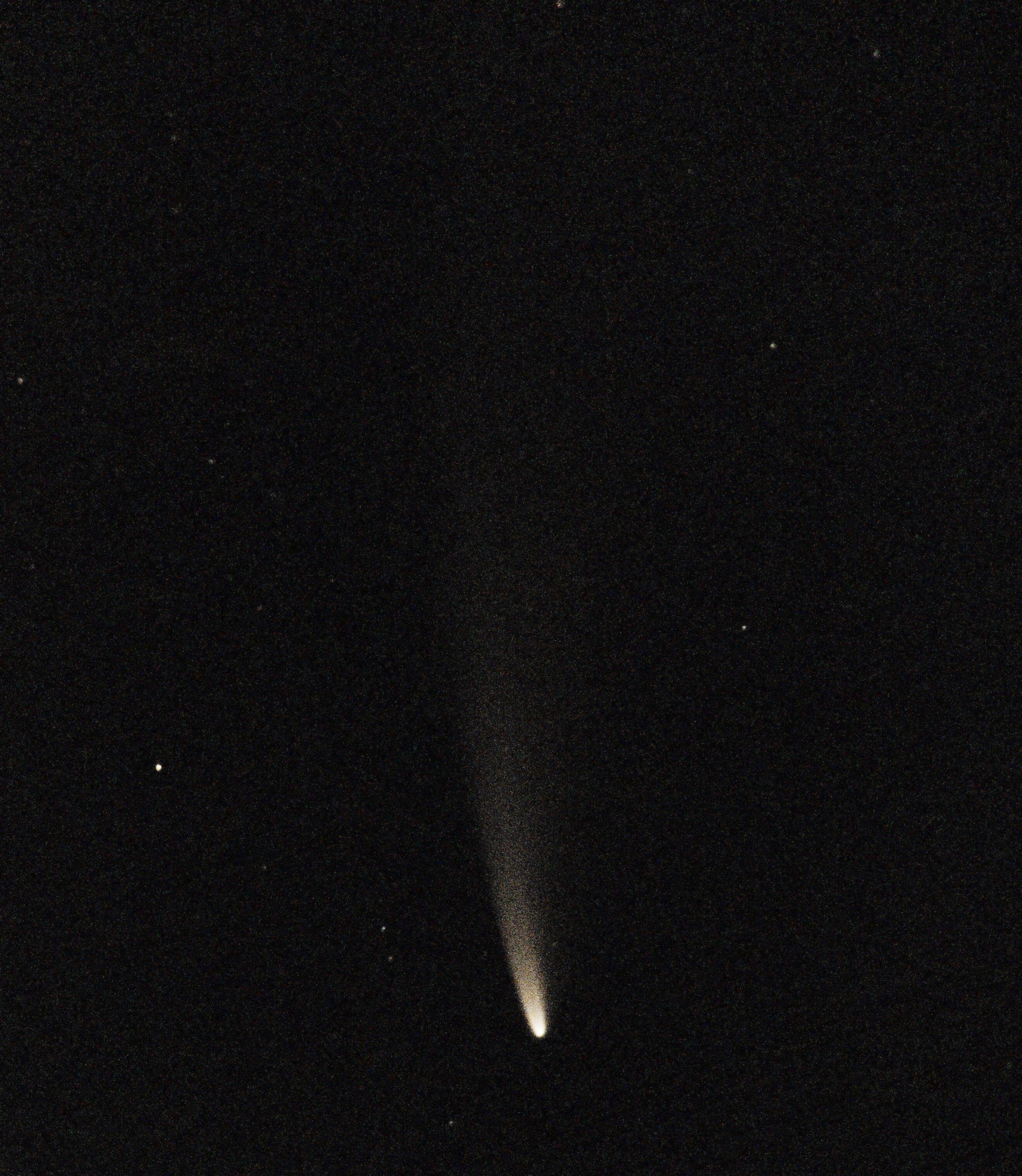 Dennis Wilde Comet NEOWISE
