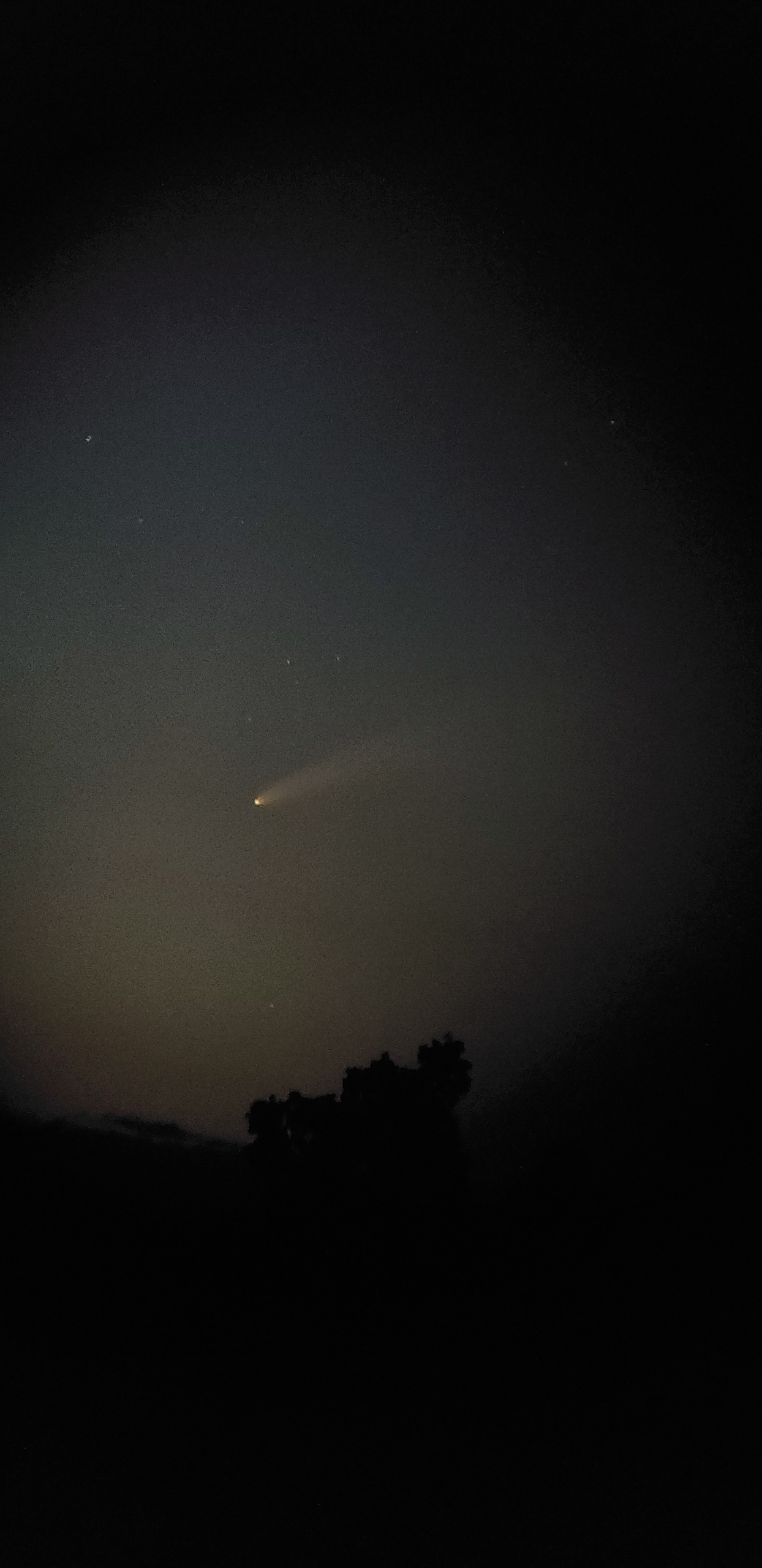Jose Manuel Batista Comet NEOWISE