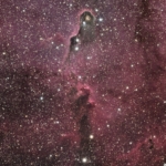 Tom_Engwall_Elephant_Trunk_Nebula_IC1396_20220412 Tom Engwall Elephant Trunk Nebula