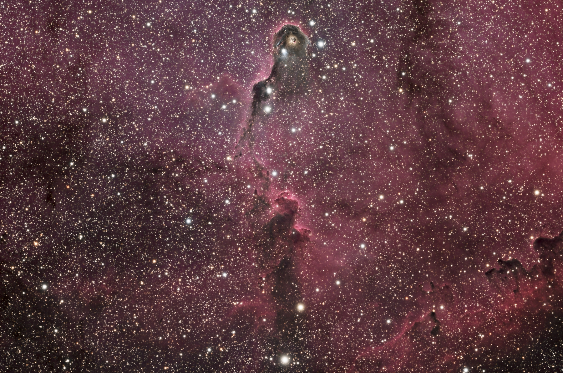 Tom Engwall Elephant Trunk Nebula