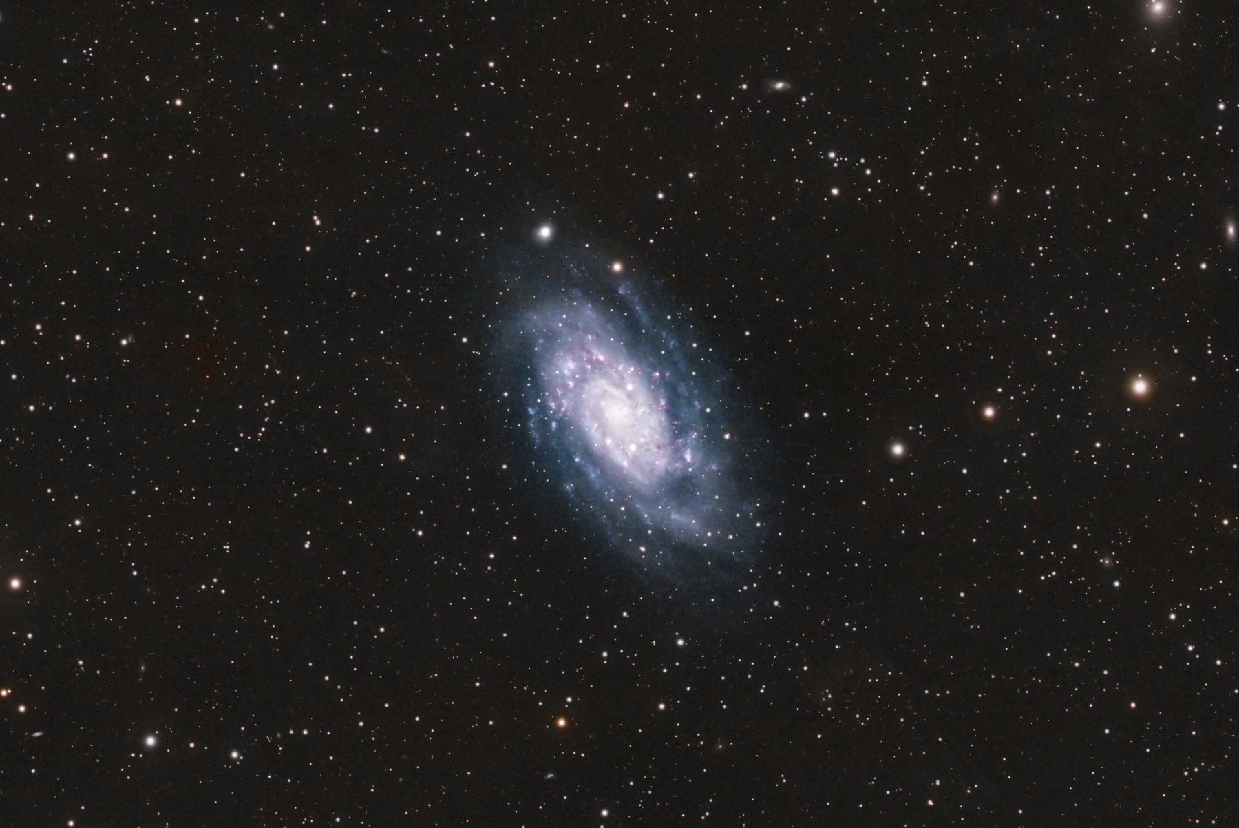 Tom Engwall NGC2403