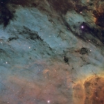 Tom_Engwall_Pelican_Nebula Tom Engwall Pelican Nebula