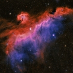 SeagullNebula_RobCalfee Seagull Nebula Rob Calfee