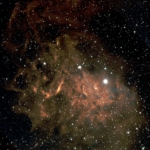 FlamingStar_David_Johnston Flaming Star David Johnston