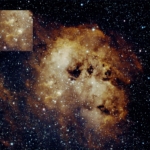 IC410_Tadpole_David_Johnston Tadpole Nebula David Johnston