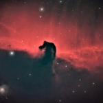 Vince Castello Horsehead Nebula Vince Castello Horsehead Nebula