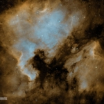 North America and Pelican Nebulae David Krause North America and Pelican Nebulae David Krause