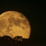 Alan_Davis_Harvest_Moon_20230930 Alan Davis Harvest Moon