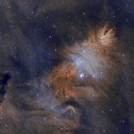 Christmas Tree Cluster Tommy Wilkinson Christmas Tree Cluster Tommy Wilkinson