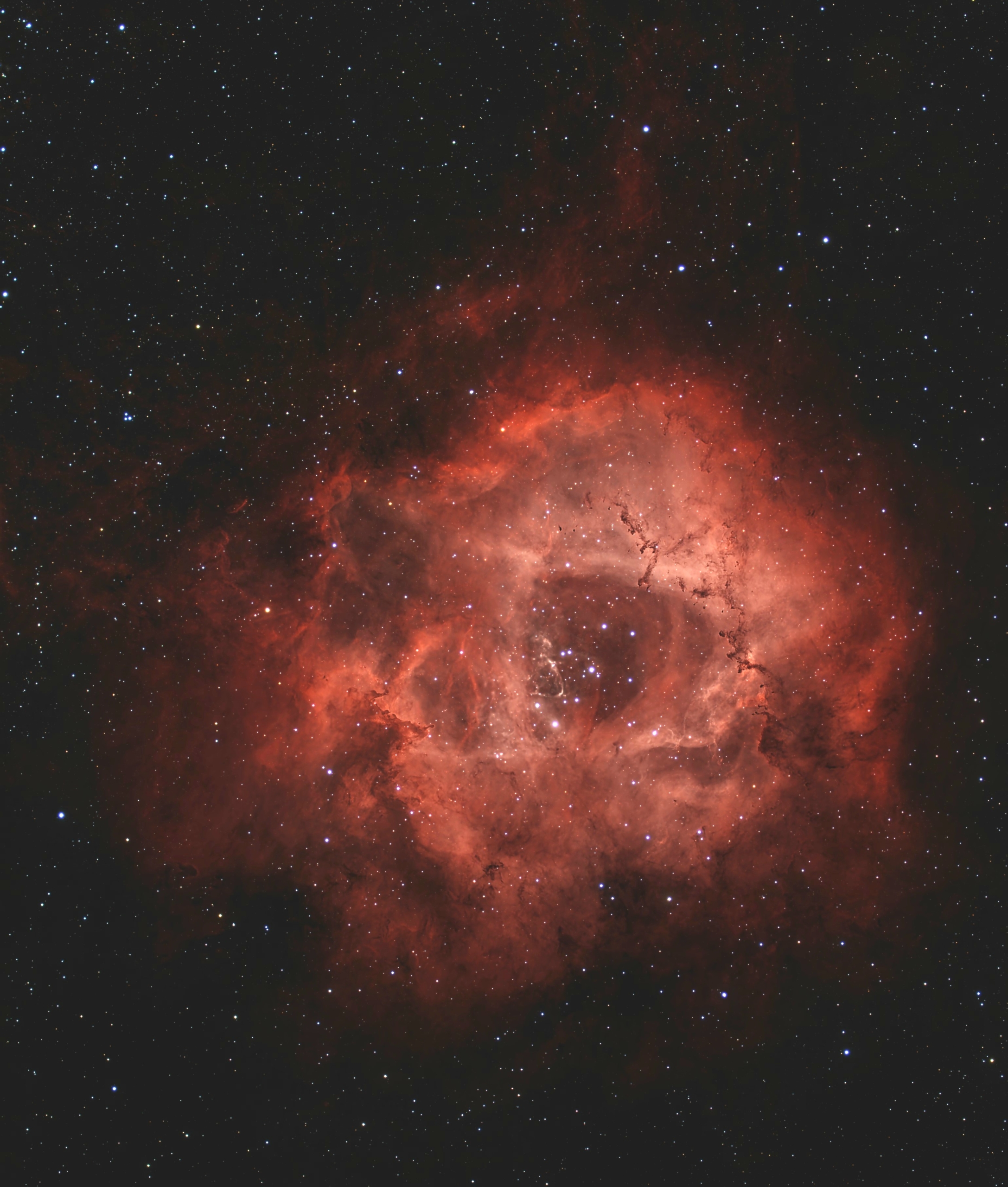 Vince Castello Rosette Nebula