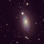 Sunflower Galaxy Tommy Wilkinson Sunflower Galaxy Tommy Wilkinson