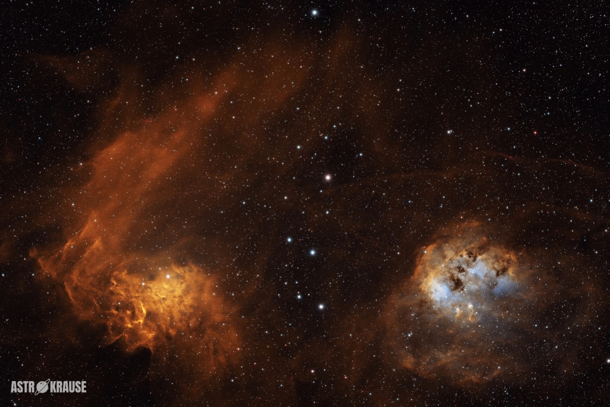 04_March_David_Krause_FlamingStar_and_Tadpoles 04_March_David_Krause_FlamingStar_and_Tadpoles