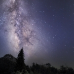 Tommy_Wilkinson_Evergreen_Pisgah_PopUp_20250826 Tommy Wilkinson Evergreen and Milky Way