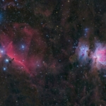 David_Krause_Orion_Horsehead_Nebulae_20250904 David Krause Orion Horsehead Nebulae