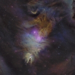 Adam Parsons Christmas Tree