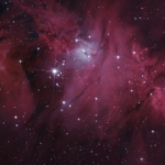 Levin Green Christmas Tree