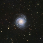 Vince Castello Phantom Galaxy