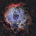 Tommy Wilkinson Rosette Nebula