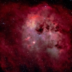 Matthew Murphy Tadpole Nebula