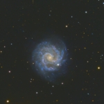 Vince Castello Little Pinwheel